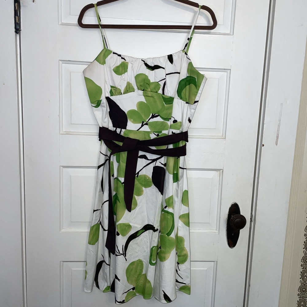 APNY White Dress Fit n Flare Green Apples Brown‎ 12